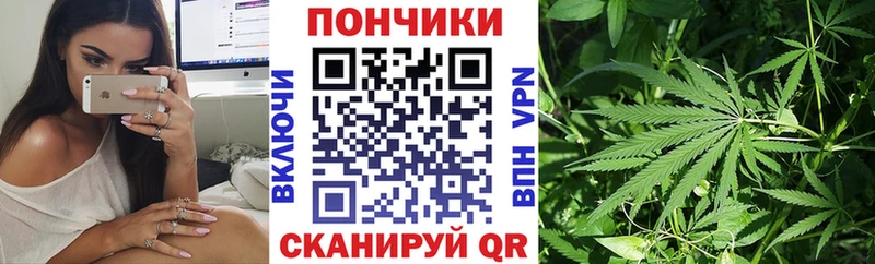 магазин  наркотиков  Белово  Шишки марихуана семена 